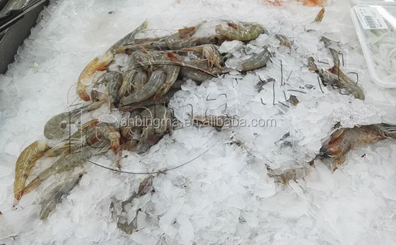 1 طن من آلة صنع شرائح الثلج بالمياه العذبة التجارية 380 فولت 220 فولت