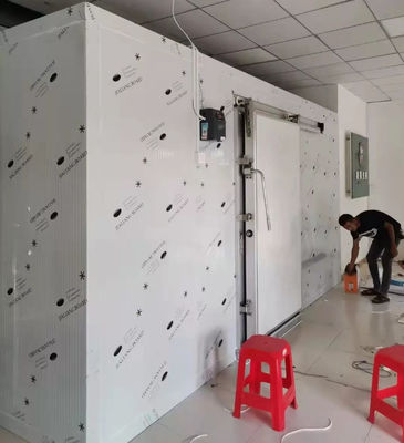 التجارية سعر غرفة باردة حاوية 20ft المشي في التجميد التخزين البارد للحفاظ على الفواكه الطازجة / الخضروات / الأسماك / النقل