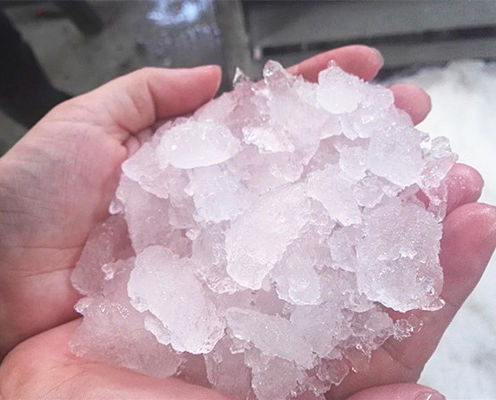 الحفاظ على الطازجة ضاغط Bitzer ICEMA آلة صنع الثلج المصغرة لإنتاج الثلج المحمول